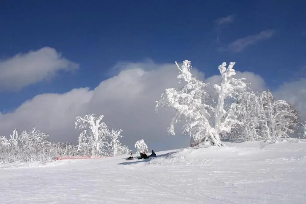 Stay In Toyooka Asahikawa 0*,